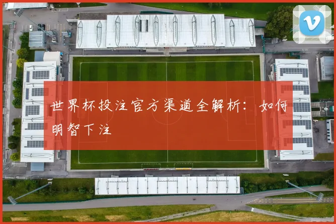 世界杯投注官方渠道全解析：如何明智下注
