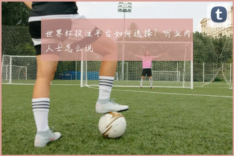 世界杯投注平台如何选择？听业内人士怎么说