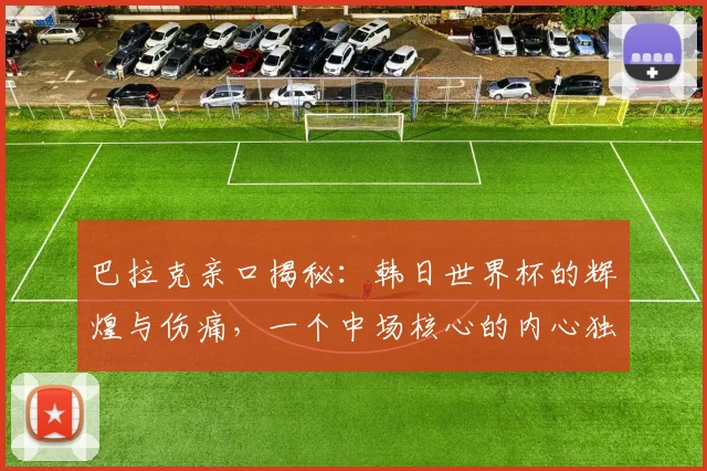 巴拉克亲口揭秘：韩日世界杯的辉煌与伤痛，一个中场核心的内心独白