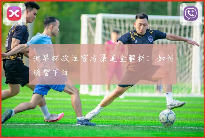 世界杯投注官方渠道全解析：如何明智下注