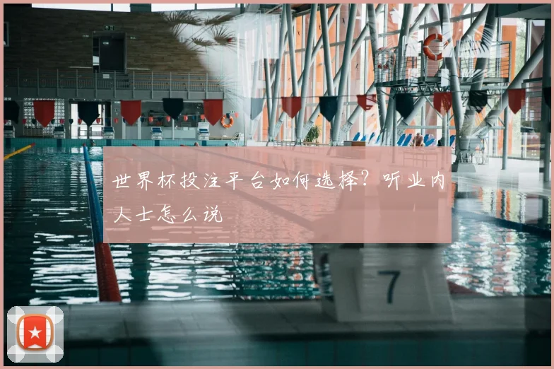 世界杯投注平台如何选择？听业内人士怎么说
