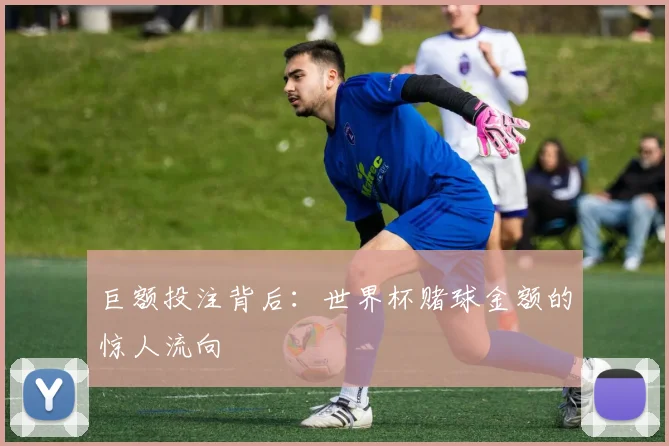 巨额投注背后：世界杯赌球金额的惊人流向