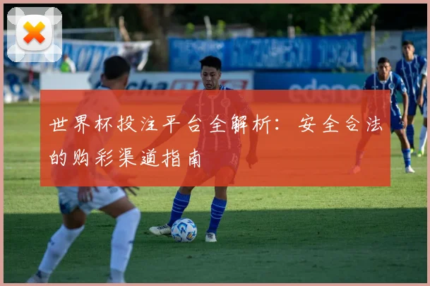 世界杯投注平台全解析：安全合法的购彩渠道指南