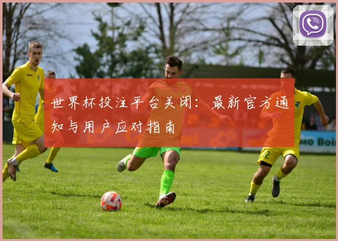 世界杯投注平台关闭：最新官方通知与用户应对指南